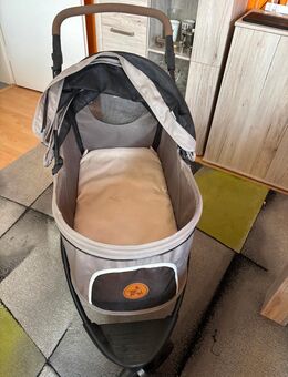 Hundebuggy - Seligenstadt