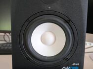 2x Swissonic ASM5 Studio Monitore - Bochum