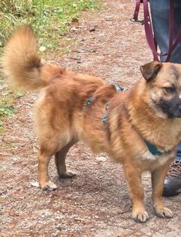 Lenny liebt Kinder! - Nürnberg