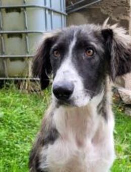 Amaris ist bereit für ein neues Leben - München