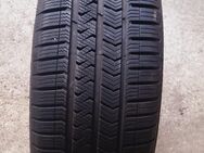 1 Vredestein Quatrac 5 Allwetterreifen 215 50 R17 95Y - Jockgrim