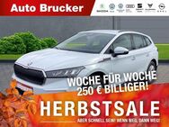 Skoda Enyaq iV 50 Loft+Navi+Klimaautomatik+LED+Klimaautomatik+Sitzheizung - Marktredwitz