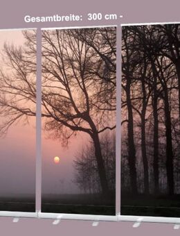 Roll-Up Display 3er-Set "Bäume vor Sonnenuntergang" - 300 x 200 cm - Bestatterbedarf, Dekoration: - Wilhelmshaven