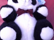 Teddy Bär, Panda, neu, 20 cm, Benny Toys, - Eschwege Zentrum