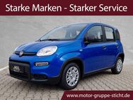 Fiat Panda, # # # # #, Jahr 2024 - Weiden (Oberpfalz)