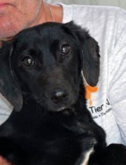 Dakar freut sich auf Sie! - Neuss