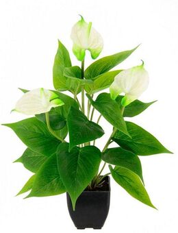 Kunstblume Anthuriumpflanze, I.GE.A., Höhe 42 cm, Anthurien Pflanze im Topf Anthurieexotisch Flamingopflanze