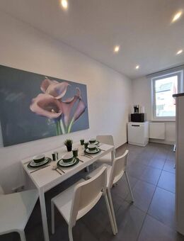 Löffelfertiges 2-Zi.-Apartments zentrumsnah am Fürther Stadtpark - Fürth