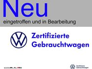VW Touran, 2.0 TDI Comfortline IQ DRIVE, Jahr 2019 - Münsingen