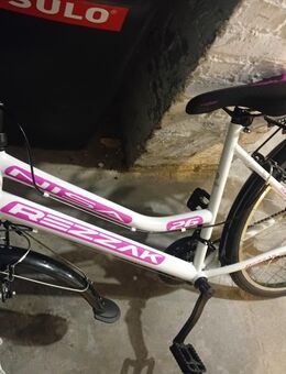 Neues 26 Damen Rad . - Gelsenkirchen