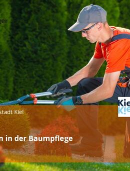Gärtner*in in der Baumpflege - Kiel