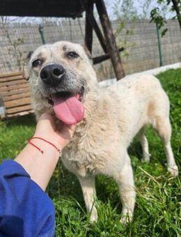 Snow- taub + alt = keine Chance? - Nürnberg