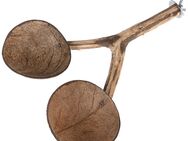 TIAKI Sitzstange mit Kokosnuss-Näpfen - L 30 x B 22 x H 5 cm