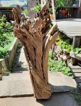 Holzskulptur / verwitterter Olivenstamm / Schwemmholz - Einbeck