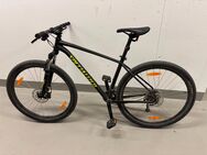 Fahrrad, Mountainbike, Specialized, hydraulische Scheibenbremsen, Federgabel, 29“ Räder, Top Zustand! - Potsdam