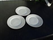 Wellco Design Trend weiß Porzellan 3 Teller flach rund 24 cm van Well zus. 3,- - Flensburg