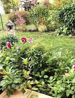 Großzügige 4 Zimmer Wohnung mit Gartenidylle und Sonnenterrasse - Margetshöchheim