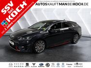 Kia pro cee'd, GT v h 4xSHZ, Jahr 2024 - Schorfheide