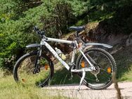 MTB 26 Zoll Mountainbike SHIMANO - Hüfingen