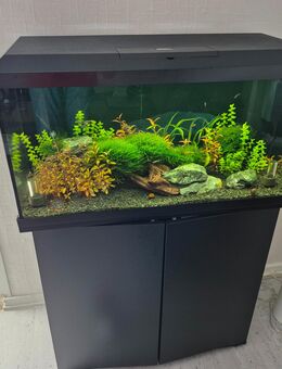 Aquarium Juwel Primo 110 - Hürth