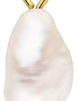 Purelei Kettenanhänger Schmuck Geschenk Pearl Halsschmuck Anhänger Halskette, 2043-Charm, mit Muschelperle