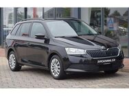 Skoda Fabia Kombi Ambition Apple Car Winter Tempomat - Altenberge