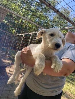 Lili möchte viel kennenlernen - Nordwalde