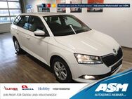 Skoda Fabia, 1.0 TSI Combi Ambition 81kW R, Jahr 2019 - Blankenburg (Harz)