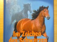 Pony Club "Im Zeichen des Schwarzen Ritters" eine Pferdegeschichte von Gabi Adam - Naumburg (Saale) Janisroda