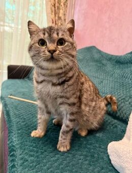 Lucy möchte glücklich werden - Celle