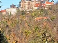 Beste Lage! Außergewöhnliches u. schönes 12-Familienhaus mit Blick zum Schloss, plus separater Bungalow, plus 4 Garagen, plus teilbare Baugrundstücke - Wernigerode