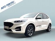 Ford Kuga 2.5 Duratec FHEV 4x4 ST-LINE X - Bingen (Rhein)