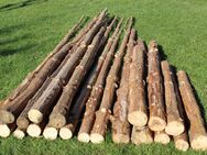 Fichtenholz zur Gartengestaltung, rustikalen Deko, zum Handwerken - Neuenrade