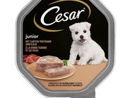 Sparpaket Cesar Junior Schale 28 x 150 g - mit Truthahn und Kalb