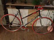 PEUGEOT Rennrad FORBAN RH 57cm, TOP! - Dortmund