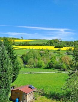 Urgemütliches 2 ZKBB- Kuschelnest im Herzen des Taunus - Waldems