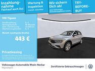 VW Tiguan, 2.0 TDI Life, Jahr 2021 - Mannheim