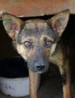 schüchterne, wunderschöne Romy - Kallmünz