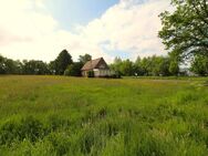 Älteres, gepflegtes Wohnhaus mit viel Platz in und ums Haus und einem schönen Grundstück, in ländlicher und gleichzeitig zentrumsnaher Lage - Papenburg
