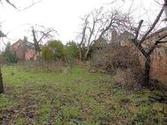 Kleiner Bauplatz in Höhenlage - Radebeul