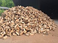 Kaminholz Feuerholz Brennholz - Delmenhorst