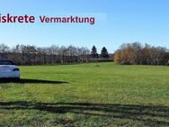 **Architektenhaus mit Garten und Business-Potenzial und Ausbaureserve** - Kerpen (Kolpingstadt)