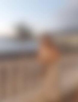 Kat*** - Frankfurt (Oder)