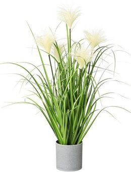 Kunstgras Riedgras, Creativ green, Höhe 66 cm, im grauen Kunststofftopf