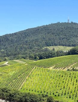 Stilvolles Villenanwesen mit großzügigem Parkgrundstück - Baden-Baden
