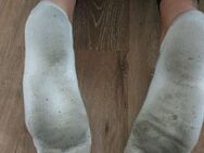 Geile verschwitzte duftende Studenten Socken von Alina (24)💦 - Hamburg