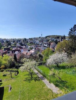 Eine Aussicht wie im Urlaub ! - Karlsruhe
