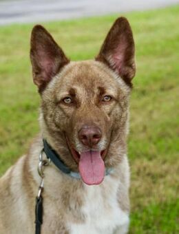 Lucky - Mönchengladbach