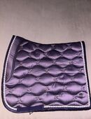 Schabracken PS of Sweden WB Dressur in 57392