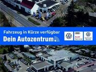 VW Passat Variant, 2.0 TDI Business, Jahr 2023 - Pasewalk